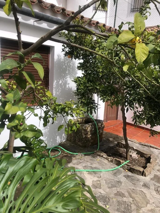 Holiday home Casa De Tita Dolores Cortes de la Frontera Spain